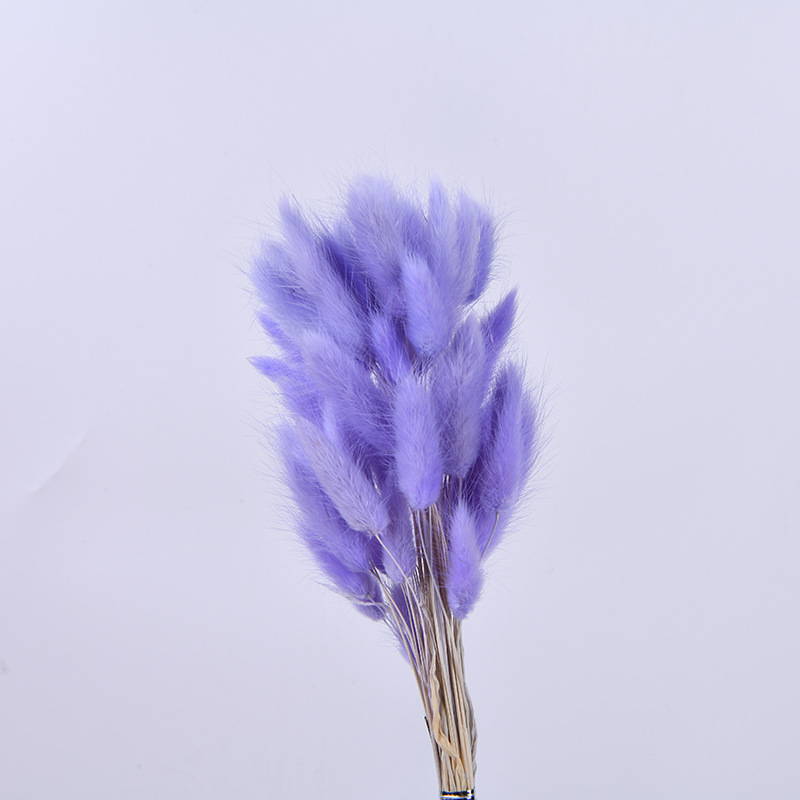 Flor inmortal hierba de cola de conejo hierba de cola de perro material natural 60 flores secas adornos para el hogar material de ramo DIY