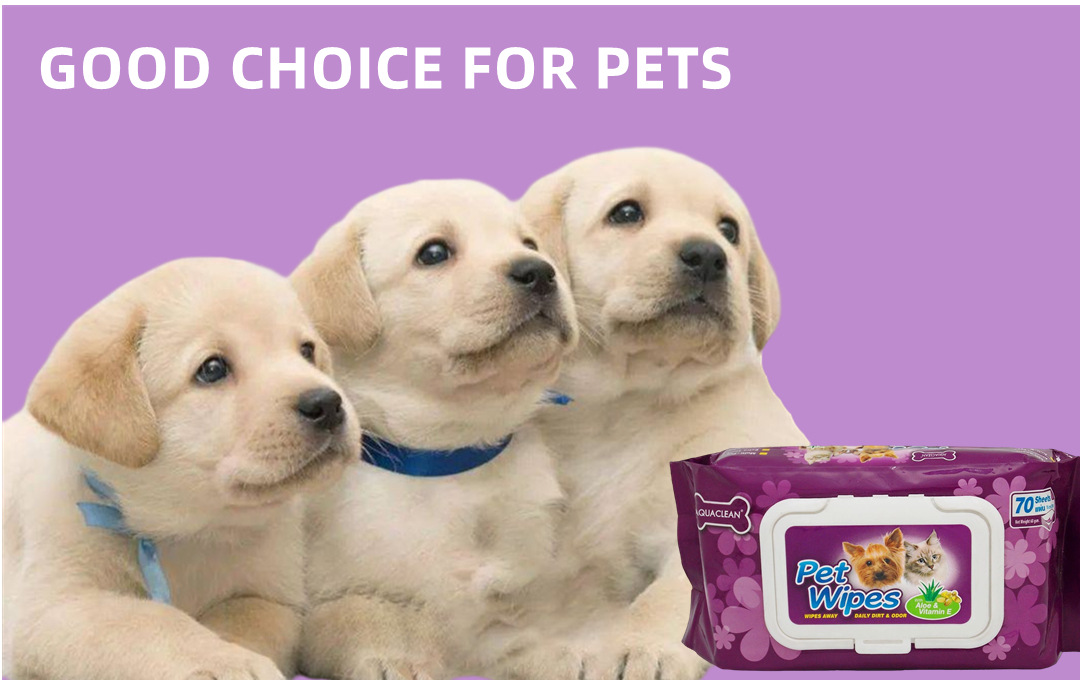 紫色宠物湿巾 (5).jpg