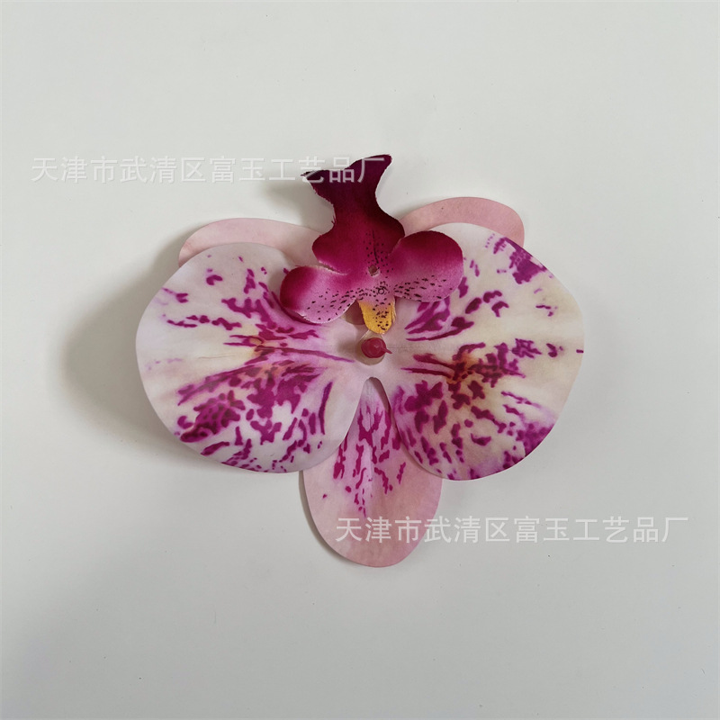 Plum deer color