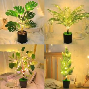 �羳����LEDСҹ������ֲ�����辰��ᘾG�}���g���^�b��ʟ�