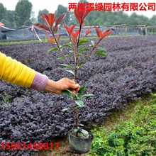 �t�~ʯ骘��纣ͩ�籱���������S����~Ůؑ�h��ͥԺ��ľͥԺ�G��