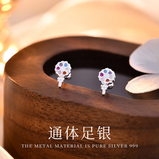 C02309  ��ɫ�ʯ������