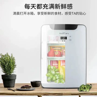 Small Refrigerator Beauty Breast Milk – Soyuducular