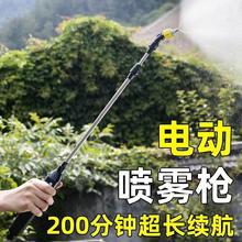 充电式电动喷壶家用洗车抽水园艺浇花洒水枪打药喷雾器带水桶跨境