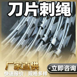 厂家定制刀片刺绳带刺铁丝防盗网 不锈钢滚轮刀片刺绳刺网