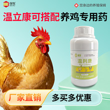 �������ɴ����B�u����ș�������Z�����g�������Bֳ����Bֳ���ӄ�