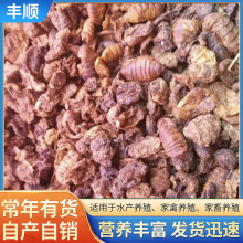 غˮa ˮaBֳԭQӼ ~DϼsӼ