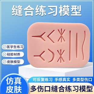 Multi-Wound Suture Practice Module with Box for Medical Students, Simulated Surgery Module, Medical Training and Simulation Training Module