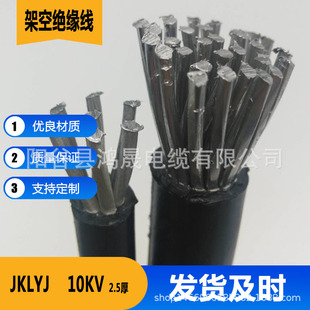 JKLYJ�Xо������ϩ�^���ܿ���|10KV�^����25~300ƽ������2.5��