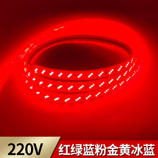Factory Direct Sales Outdoor Waterproof 220V Light Strip 2835 Red Green Golden Pink Flexible Led Light Strip