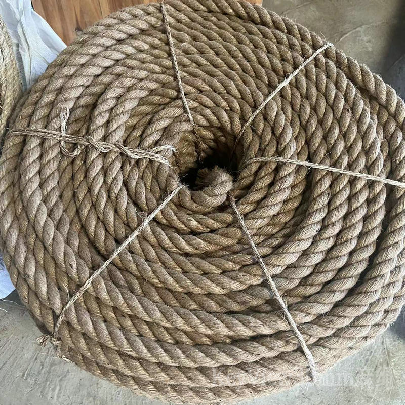 微信图片_20221230095352