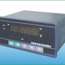 XMD-24/24·���ܔ���Ѳ�z�x�S��ֱ�ӹ������ض�Ѳ�z���c