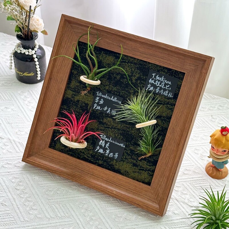 Air Pineapple Magnetic Photo Frame Wall Hanging Table Square Medieval Picture Frame Display Frame Retro High-End Empty Frame
