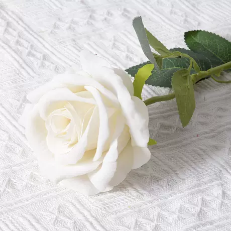 Large velvet rose white