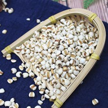 С޲���� ޲������ ��ʮ��һ�� ���l����