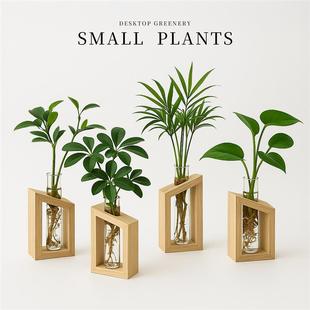 �lؔ��ˮ��ֲ���҃Ⱥ��B��ؾ������k��������Gֲˮ��С���Ԕ[��