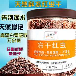 Dried Bloodworm Fish Feed for Ornamental Fish, Bettas, Koi, Guppies, Parrotfish, and Arowana, Specially Freeze-Dried Bloodworms