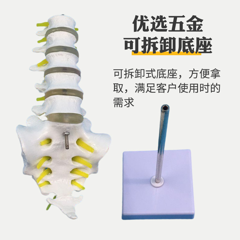 �����׵������ģ�� ����ģ�� ���ģ�� �������ģ�� �ɹ�׵����