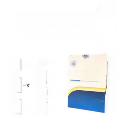 Yunlong Brand Acupuncture Needles, Disposable Korean Flat Handle Sterile Acupuncture Needles, 500 Pieces/Box, Medical Scalpel Needles with Tubes