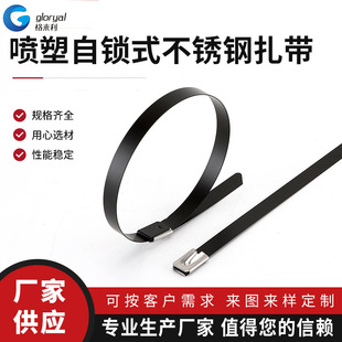 GL-310 Self-locking Metal Cable Tie Marine Cable Tie Plastic Wrapping Strap Spray Self-locking Stainless Steel Tie