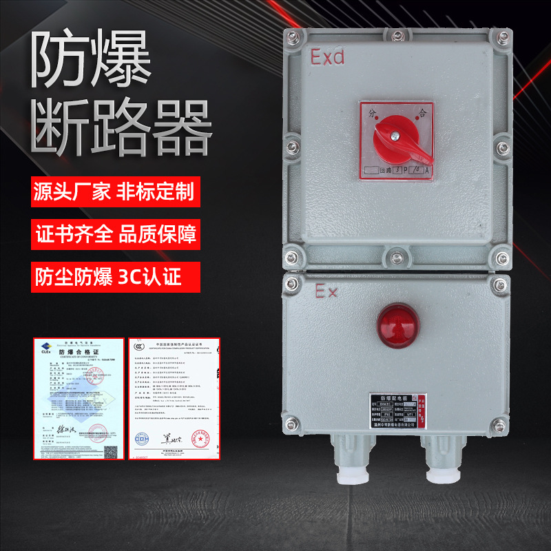 厂家供应 防爆断路器 防爆配电箱 磁力漏电开关控制箱检修接线箱