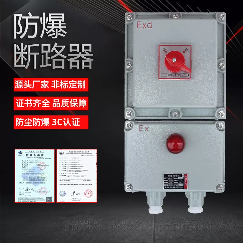 厂家供应 防爆断路器 防爆配电箱 磁力漏电开关控制箱检修接线箱