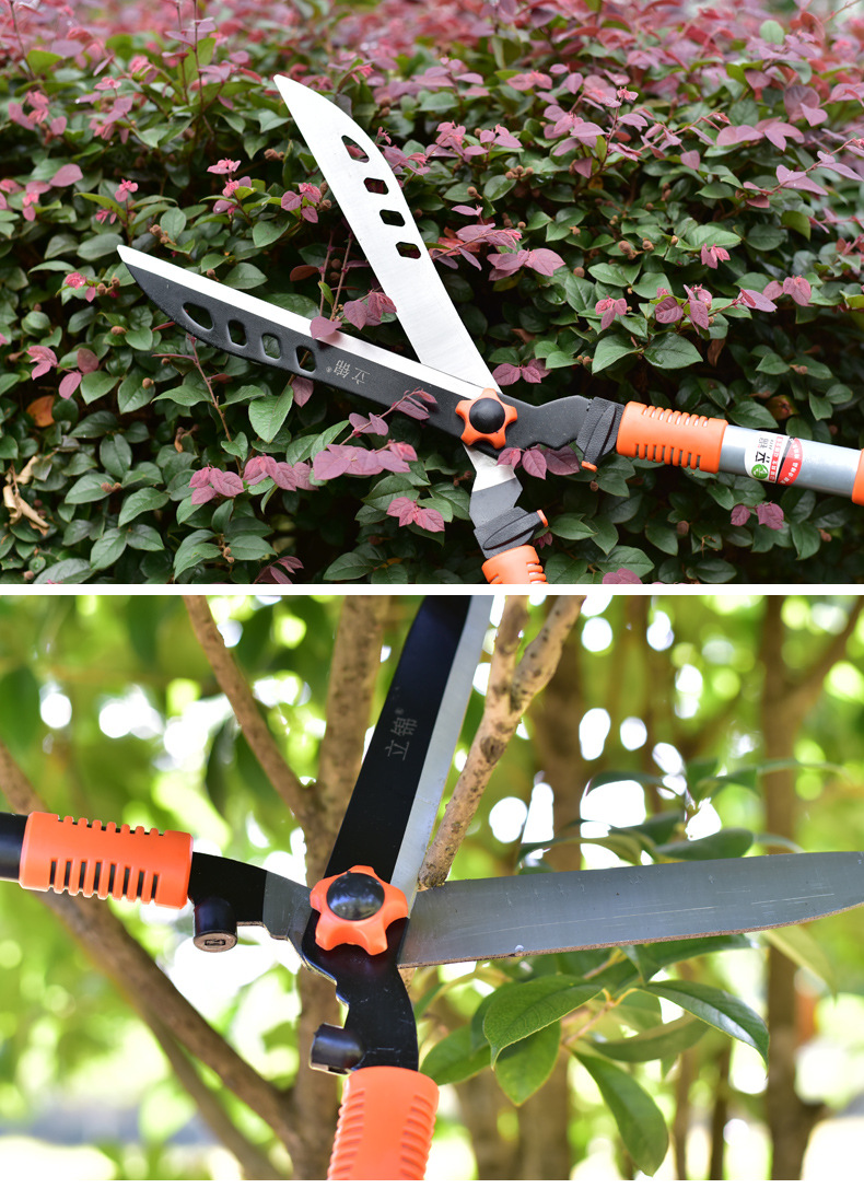 简单详情排版1_15