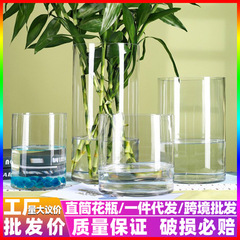 ストレートガラス花瓶透明富貴竹馬酔木水培植物器目が覚める花桶高級感着地置物