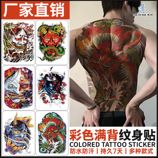 �M���y���N��D�h����ˮ�����y���P�� ���~ �w����������y���N��