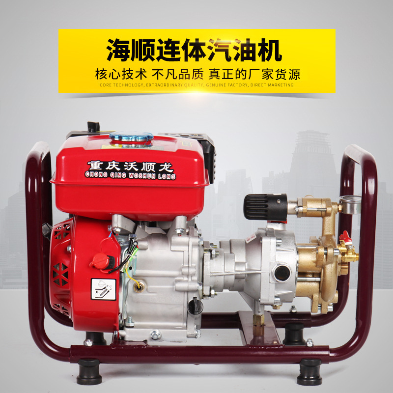台湾海顺高压农药泵220V电动机连联体打药机免黄油汽油机喷雾器机