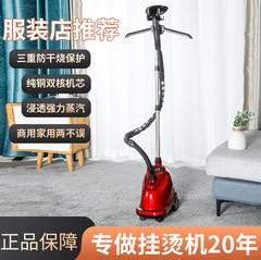 貴衣手持ち式大出力衣類スチーマー 家庭用衣類アイロン機 業務用衣料店推奨 スチーム