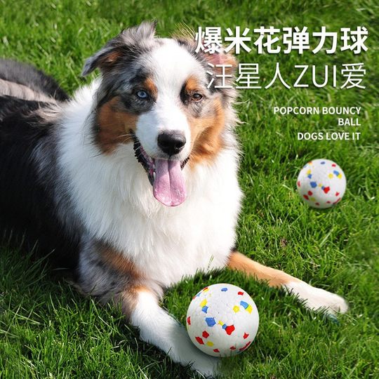 Dog Toys That Won’T Bite, Explosive Balls, High-Elastic Solid Balls, Cat Teething Interactive Pet Supplies Factory Wholesale