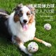 Dog Toys That Won’T Bite, Explosive Balls, High-Elastic Solid Balls, Cat Teething Interactive Pet Supplies Factory Wholesale