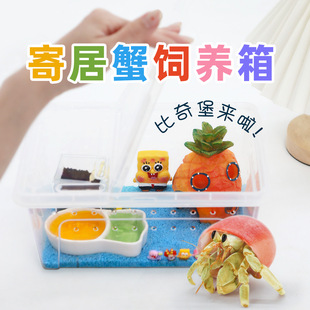 Hermit Crab Novice Package Breeding Box ~ Breeding Supplies Xiangshou Crab Set Desktop Pet Kidsren's Gift