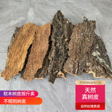 碎碎皮树皮碎料造景种植板香槟树皮软木树皮真树皮