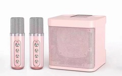 YS-203 all-in-one outdoor family party set karaoke double microphone artifact wireless microphone Bluetooth audio