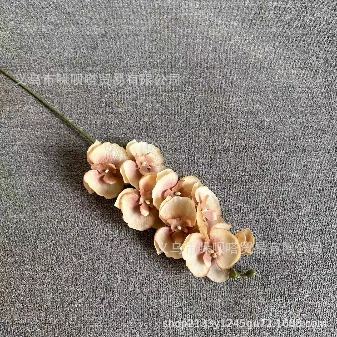 8 실크 호접란 브라운