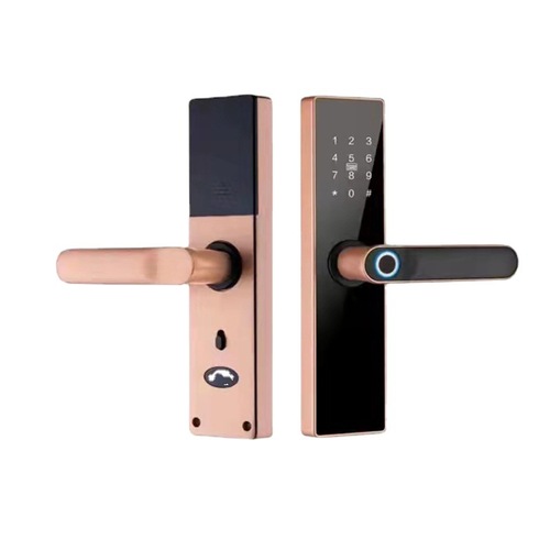 Cross-border overseas exclusive eight-language indoor door graffiti WiFi smart fingerprint lock password IC card key unlocking