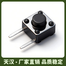 天汉厂家直销轻触开关6*6侧插边两脚铜脚2脚按键微动开关家用电器
