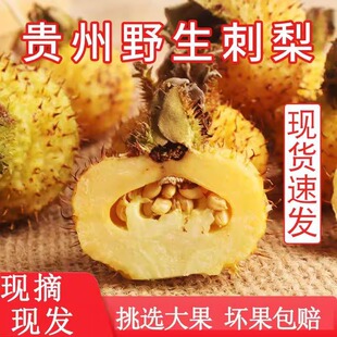 贵州特产刺梨鲜果正宗贵州刺梨大果天然鲜榨维C大王整箱新货-阿里巴巴