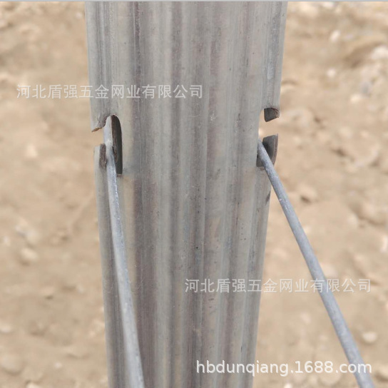 榆林市靖边县金属葡萄杆子苹果葡萄园立柱猕猴桃架杆防鸟网立柱