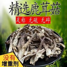 东北特产鹿茸菇250克 炖汤石材一级长白山食用菌农产品干货鹿茸菇