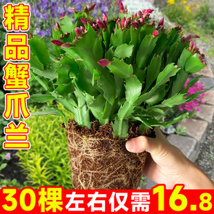 ��Ʒ�ذ�зצ�m���Ԏ������ͺ������҃��ֲ̨�����Ժ��B���ļ�