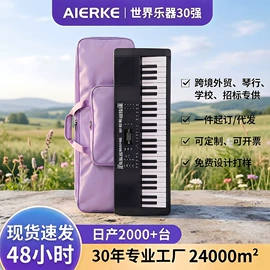 键盘类乐器;乐器配件;打击类乐器