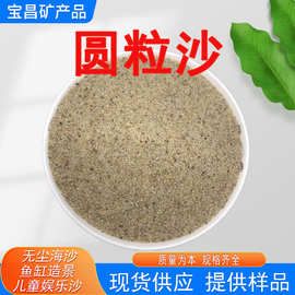 圆粒沙 儿童娱乐沙幼儿园室内淘气堡用圆粒沙 水族造景马场圆粒砂