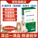 犬猫怀孕试纸狗狗猫咪早孕测试宠物验孕棒一次性线下同款快速检测