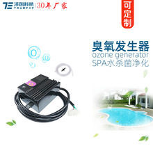 TRUMPXPlSPAˮˮ̎횢C