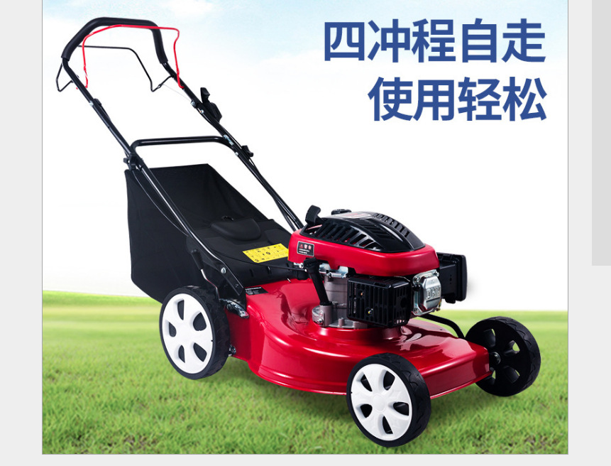 汽油机除草机机身轻便型果岭草坪修剪机 四冲程6马力手推割草机
