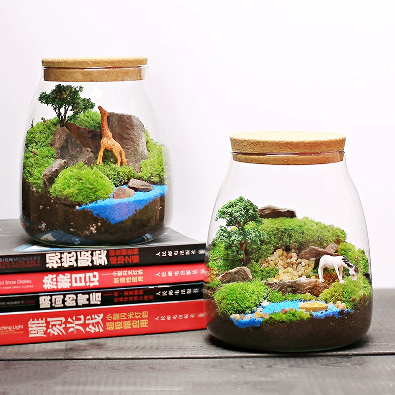 Большая бутылка с каплями воды моховое растение в горшке микроландшафтная экологическая бутылка в помещении настольная Забава Мини-Креатив DIY зеленое растение