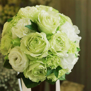 Sirius Rose Women's Fashion Multi-Season Flowering Green Large Flower Hybrid Tea Scented Rose Flower Shop Cut Flowers